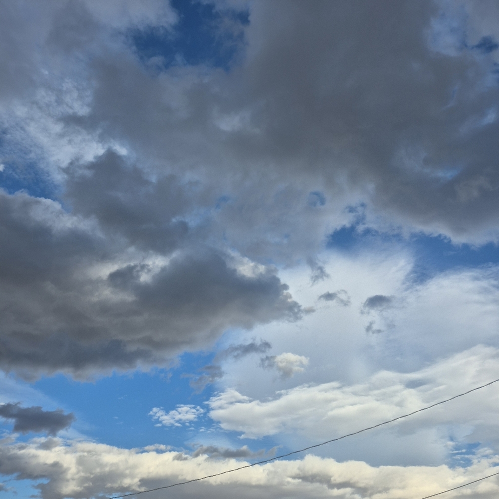 Meet your Posher, cookie